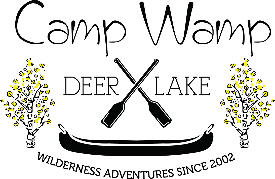 camp-wamp-transparent-logo